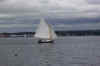 100_3454.jpg (27045 bytes)
